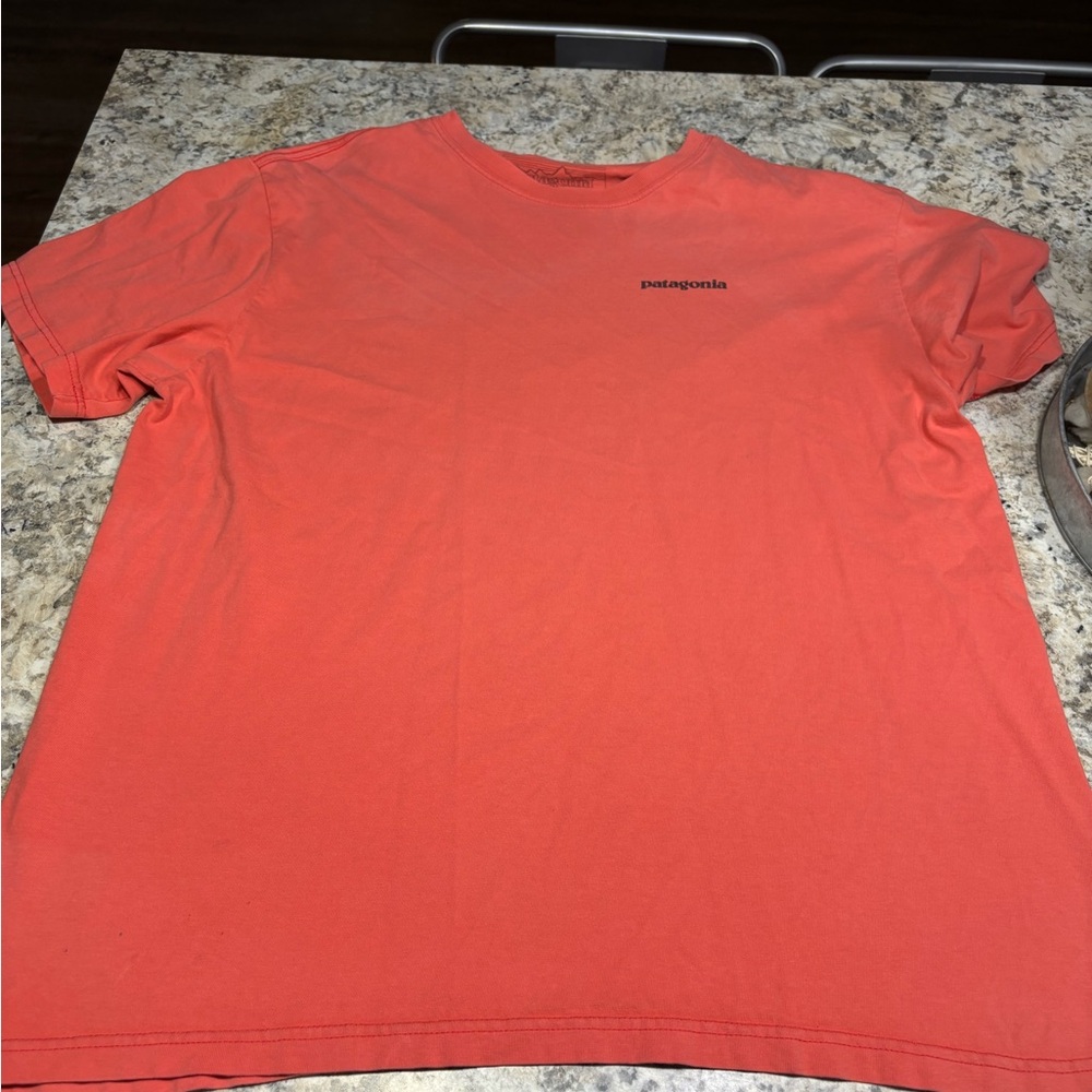 Patagonia Tee